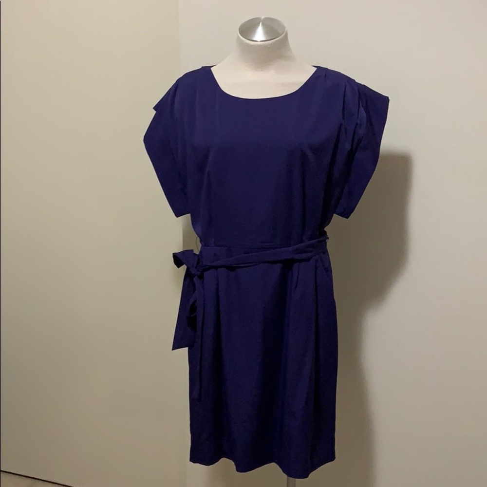 Eliza J indigo dress 10
